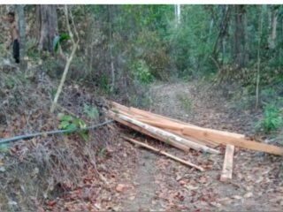 Kerusakan di Hutan Lindung Gunung Lengkuas Jadi Sorotan, Publik Ragukan Ketegasan Petugas
