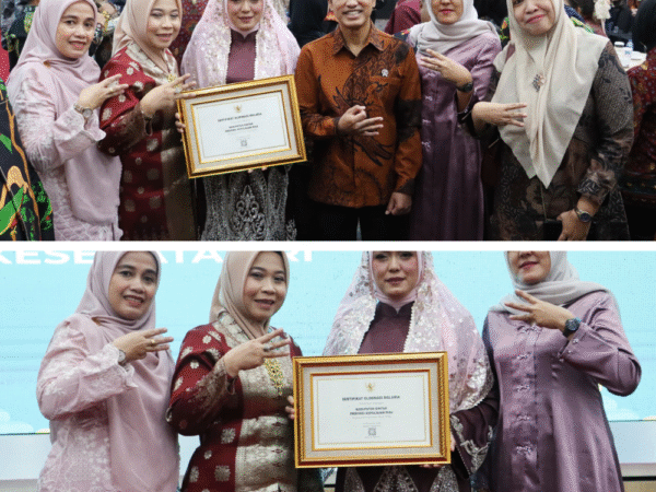 Wabup Bintan Deby Maryanti Terima Sertifikat Eliminasi Malaria dari Kementerian Kesehatan RI